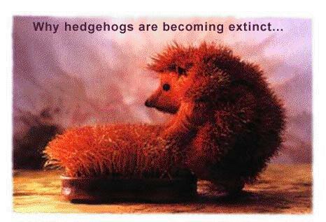 HedgehogExtinct.jpg